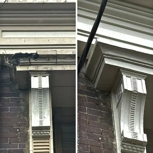 rope-boys-inspection-and-reports