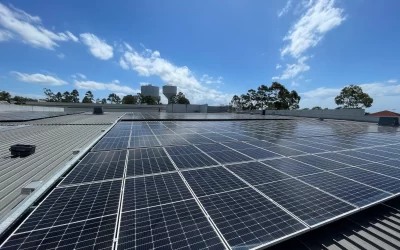Sun, Sweat & Solar Panels: Rope Boys Take to the Roofs